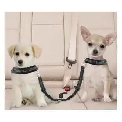 SlowTon Cinturón de perro para auto doble sin enredo