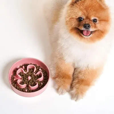 le tauci cuenco rosa antivoracidad perro pequeño