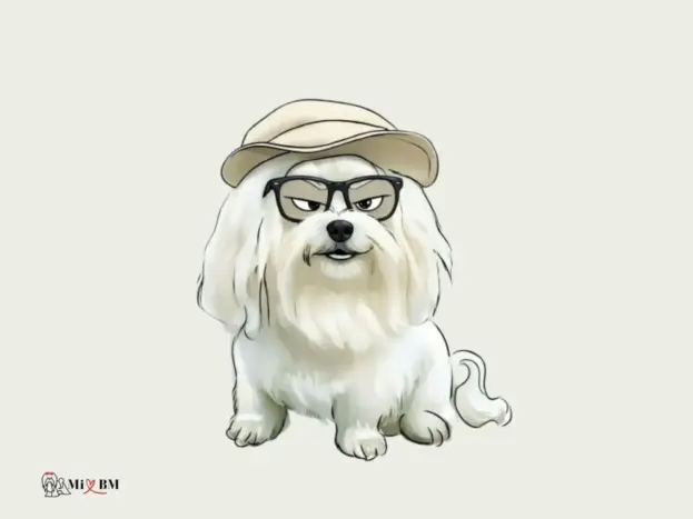 Bichón Maltés: Fotos Reales, Imágenes y Momentos que Enamoran 24 Bichón Maltés imagenes artisticas