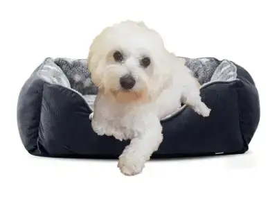 furtime cama perro pequeño amazon