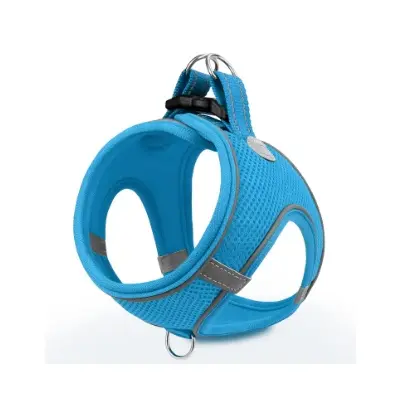 Kit de Bienvenida para Cachorro Bichón Maltés: Los 10 Imprescindibles desde el Día 1 10 joytale Arnes Perro cachorro Reflectante amazon