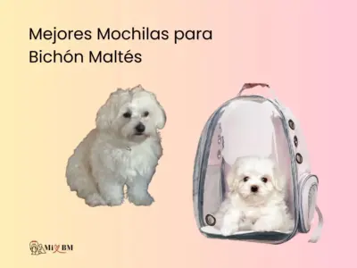 mejores mochilas para perros bichón maltés