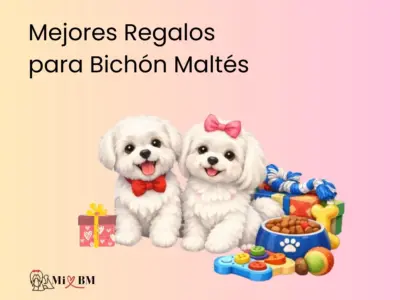 mejores regalos para perros bichon maltes