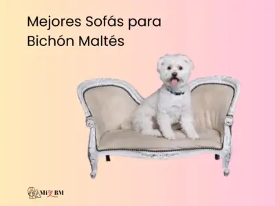 10 Mejores Sofás para Perros Bichón Maltés: Comparativa, Guía y Opiniones 6 mejores sofás para perros bichón maltés