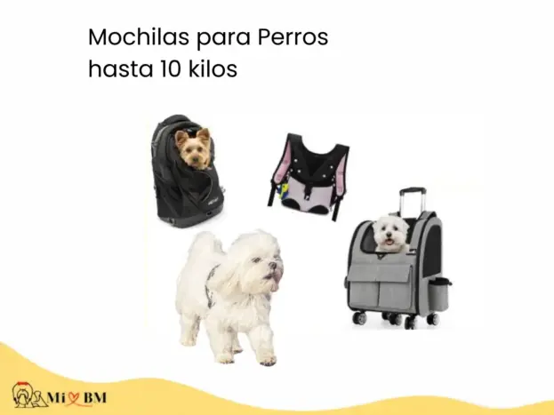 mejores mochilas para perros de 10 kilos