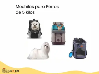 5+ Mejores Mochilas para Perros de 5 kilos 1 mejores mochilas para perros bichon maltes de 5 kg
