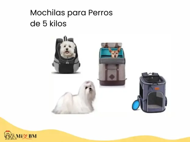 5+ Mejores Mochilas para Perros de 5 kilos 5 mejores mochilas para perros bichon maltes de 5 kg