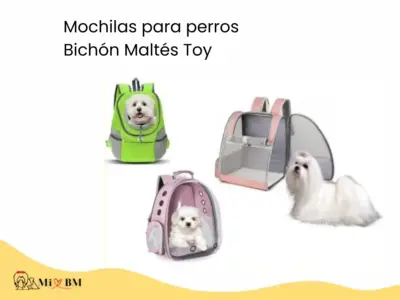 Mejores Mochilas para Perros Bichón Maltés Toy 1 mejores mochilas para perros bichon maltes toy