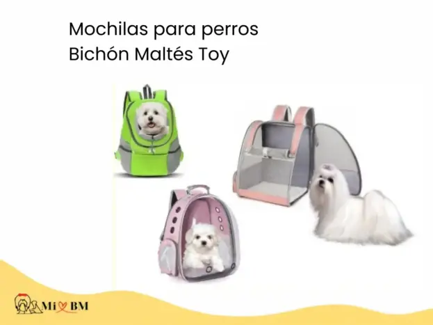 Mejores Mochilas para Perros Bichón Maltés Toy 5 mejores mochilas para perros bichon maltes toy