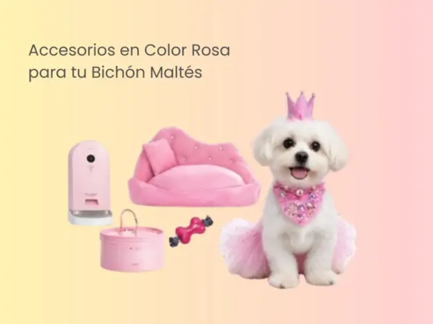 33+ Accesorios de Color Rosa para Bichón Maltés (al Estilo Barbie) 7 33 accesorios de color rosa para perritas bichon Maltés