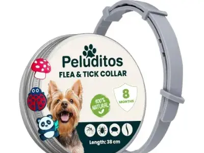 adv home Collar antiparasitario Natural para Perros pequeños Protección hasta 8 Meses con Charms