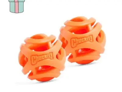 Regalos de Cumpleaños para Perros Bichón Maltés 24 Chuckit Bolas De Entrenamiento para Perros tamaño S