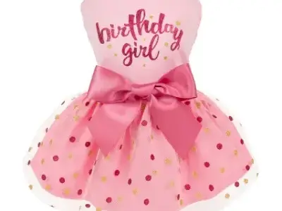 33+ Accesorios de Color Rosa para Bichón Maltés (al Estilo Barbie) 29 Fitwarm Vestido Rosa de cumpleaños para Perritas pequeñas maltes