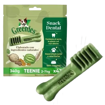 Snacks para Bichón Maltés 21 greenies snack dental palitos para perros