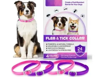 hexin 4 Collares Antiparasitarios Perros Impermeable 24 Meses de Protección