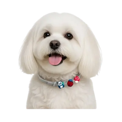 peluditos Collar antiparasitario Natural para Perros pequeños