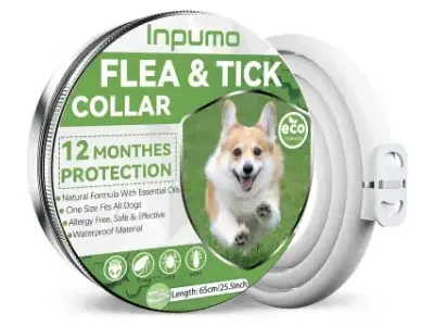 inpuma collar antigarrapatas con aseites para perros pequenos