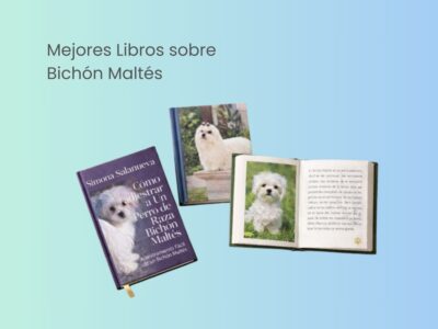 mejores libros sobre bichon maltes para sus duenos