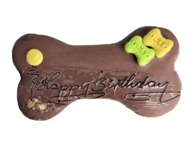 Regalos de Cumpleaños para Perros Bichón Maltés 21 Lolo Pets Galleta de cumpleaños grande 250 gramos