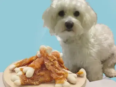 Regalos de Cumpleaños para Perros Bichón Maltés 29 mersjo Golosinas para perros pollo alto contenido de proteínas