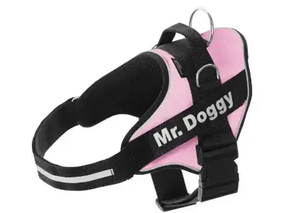 33+ Accesorios de Color Rosa para Bichón Maltés (al Estilo Barbie) 16 mr doggy arnes personalizado rosa perro bichon maltes comprar