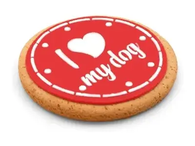 Regalos de Cumpleaños para Perros Bichón Maltés 23 PetLove Regalo perro Pastel de Cumpleaños