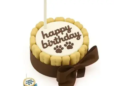 Regalos de Cumpleaños para Perros Bichón Maltés 19 PetLove Tarta de cumpleaños Pastel para perros bichon maltes amazon