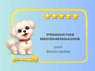 productos recomendados para perros Bichón Maltés