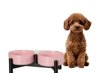 33+ Accesorios de Color Rosa para Bichón Maltés (al Estilo Barbie) 31 ptober comedero bebedero rosa perro bichon maltes comprar