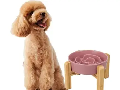 33+ Accesorios de Color Rosa para Bichón Maltés (al Estilo Barbie) 30 Comedero Antivoracidad de Cerámica Rosa para Perros