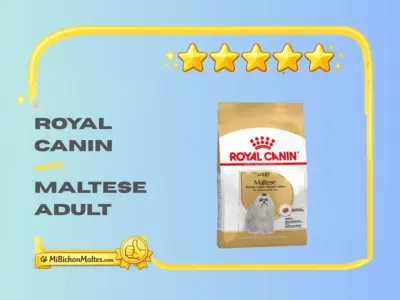 pienso royal canin para bichon maltes adulto