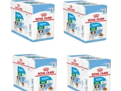 Royal Canin Puppy Mini para Bichón Maltés Cachorro: Opiniónes, precio y alternativas 11 Royal Canin Puppy Mini 85g para cachorros Maltés