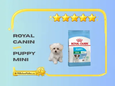 royal canin puppy mini para bichon maltes cachorro