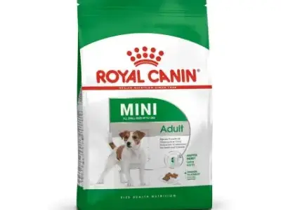 Royal Canin para Bichón Maltés: Dieta Científica 100% Personalizada 12 Royal Canin Mini Adult Alimento seco para Perros Raza pequeña