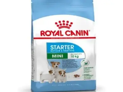 Royal Canin para Bichón Maltés: Dieta Científica 100% Personalizada 9 Royal Canin SHN Mini Starter para Madres y Cachorros en Gestación