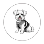 mejor arnes para bichon maltes
