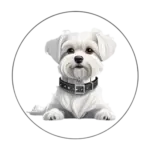 collar antiparasitario para bichon maltes