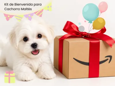 Kit de Bienvenida para Cachorro Bichón Maltés: Los 10 Imprescindibles desde el Día 1 1 kit de bienvenida para cachorro Bichón Maltés