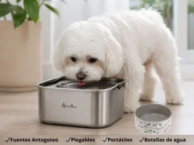 mejores bebederos para bichon maltes perros pequeños
