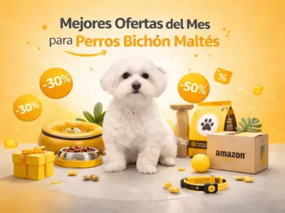 mejores ofertas de hoy para perros bichon maltes en amazon