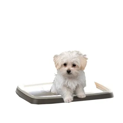 Savic Puppy Trainer Kit de bandeja para perros